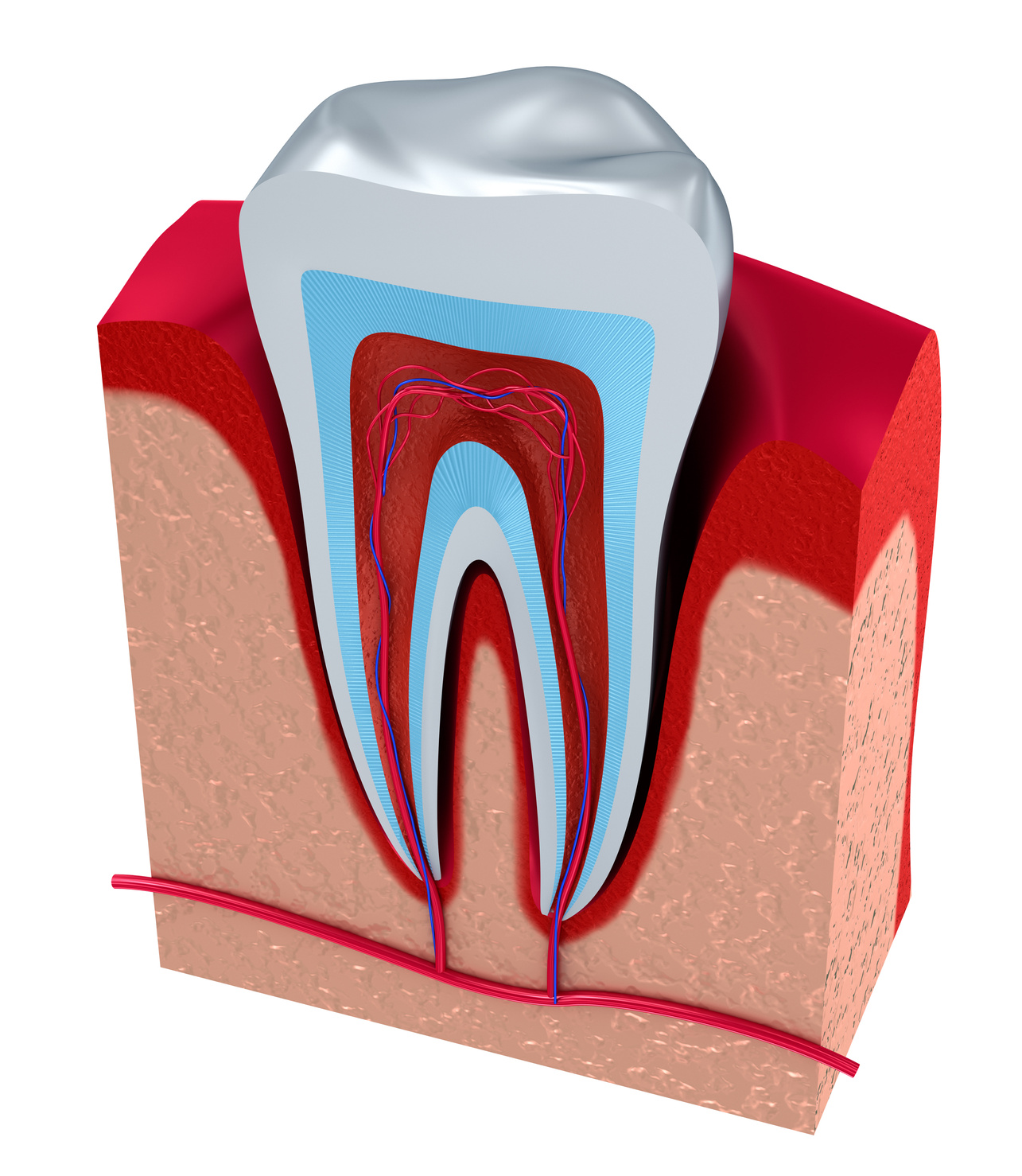 Periodontal pathogens